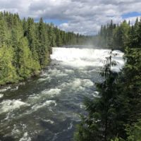 do 500 km / Dawson Falls