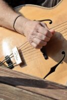 Pedrov trsátkový úchop